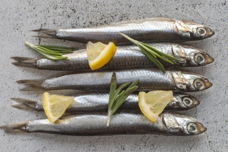 Whole small oily fish with lemon slices and rosemary on a grey surface